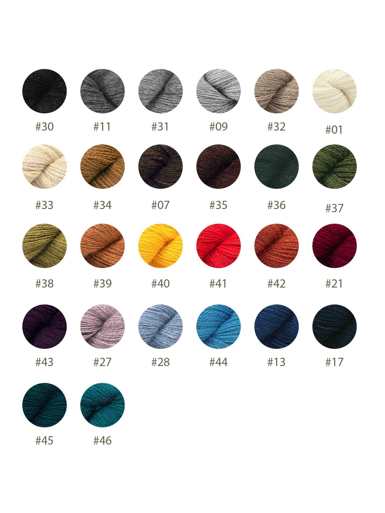 ALPACA LACE