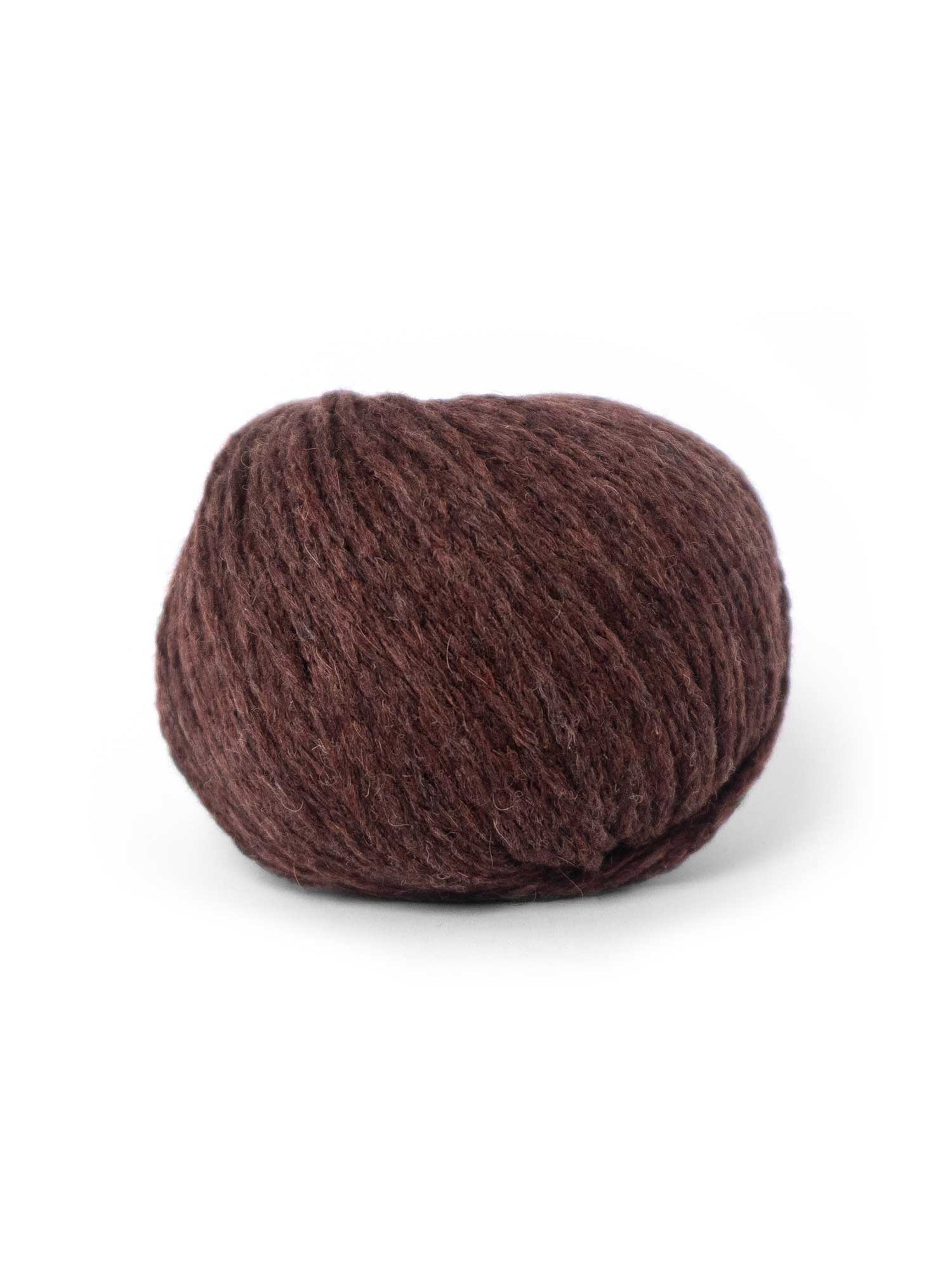 CAMEL DK