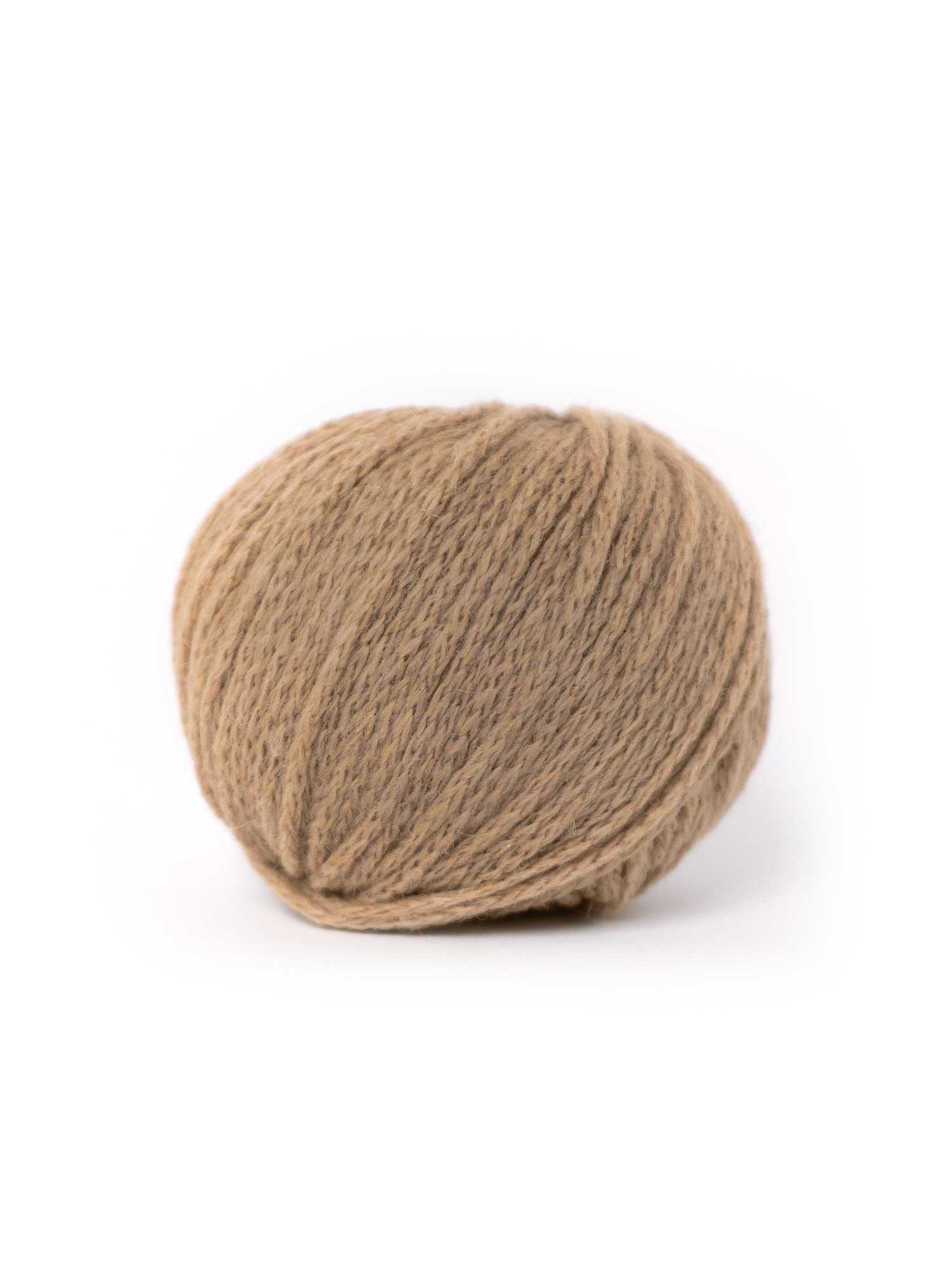CAMEL DK