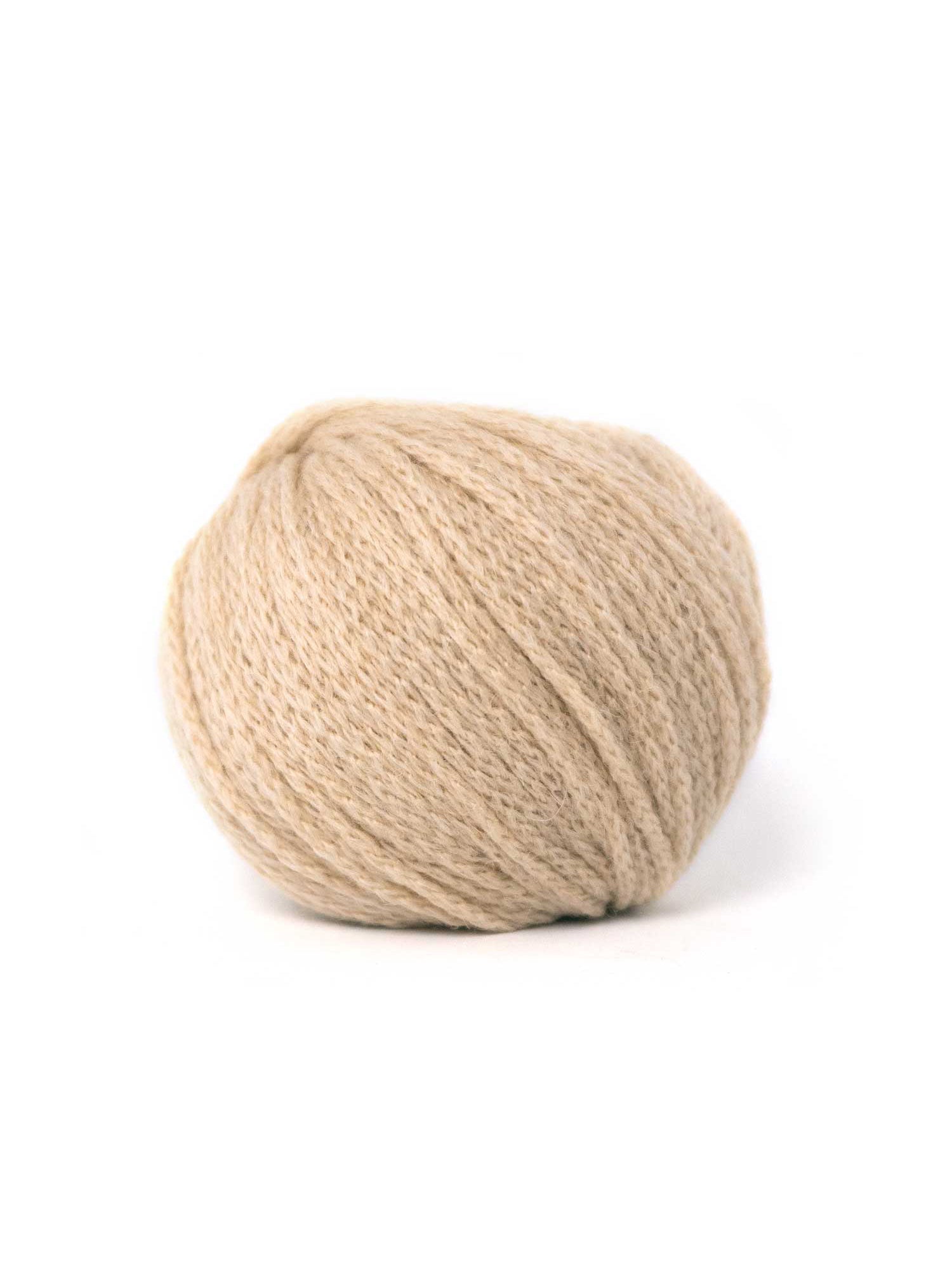 CAMEL DK