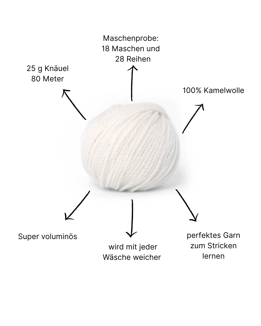 CAMEL DK